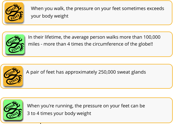 fact foot When you walk, the pressure on your feet sometimes exceeds your body weight In their lifetime, the average person walks more than 100,000 miles - more than 4 times the circumference of the globe!! fact foot fact foot fact foot A pair of feet has approximately 250,000 sweat glands Each day, your feet will excrete as much as half a pint of moisture fact foot When you're running, the pressure on your feet can be 3 to 4 times your body weight fact foot
